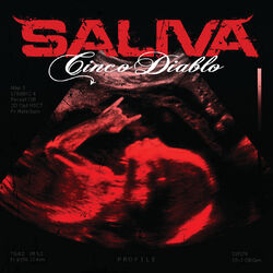 Cover of Cinco Diablo