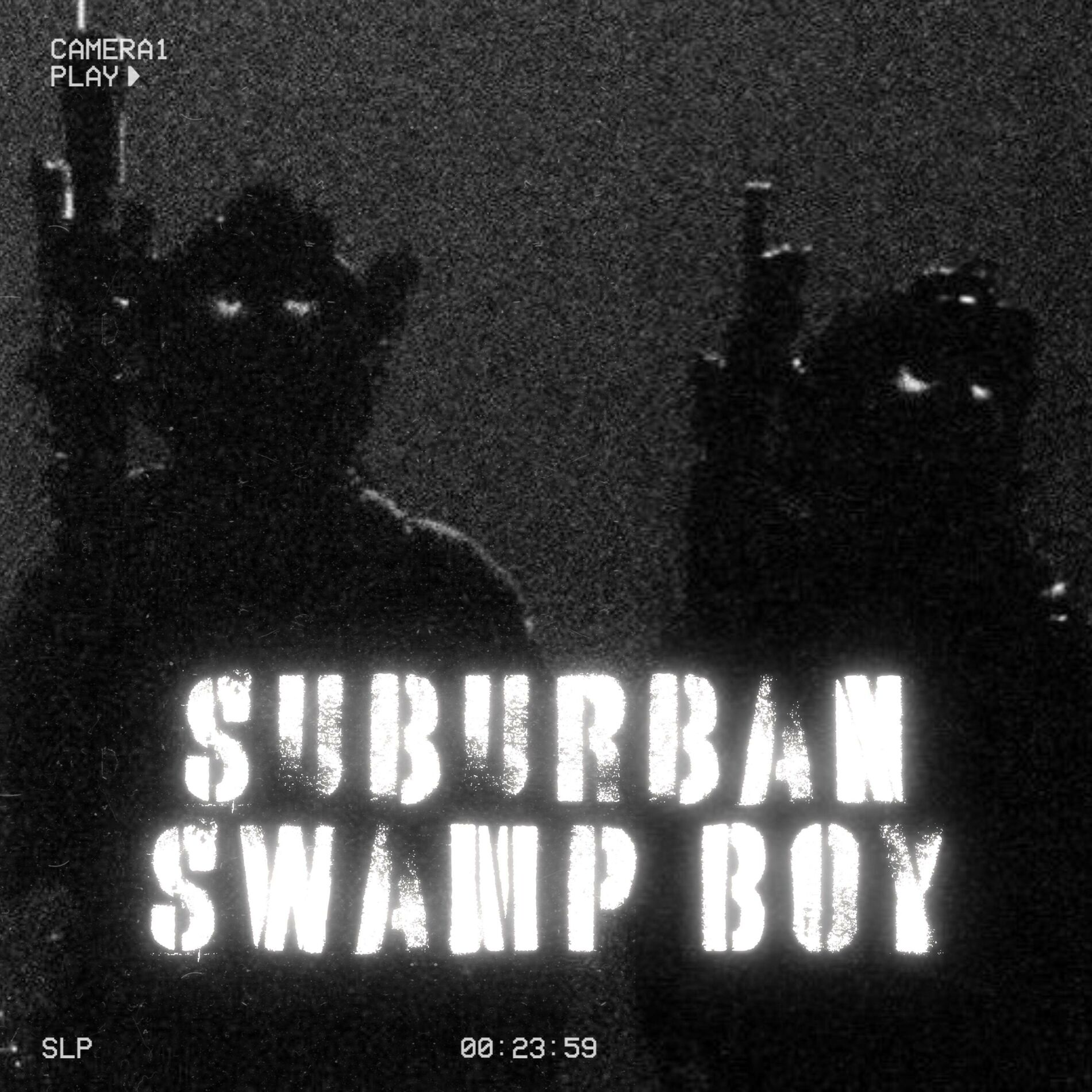 Album cover of Suburban Swamp Boy