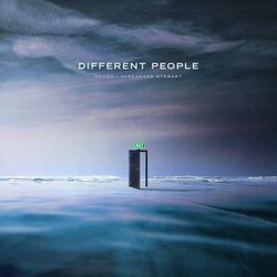 Cover of Different People