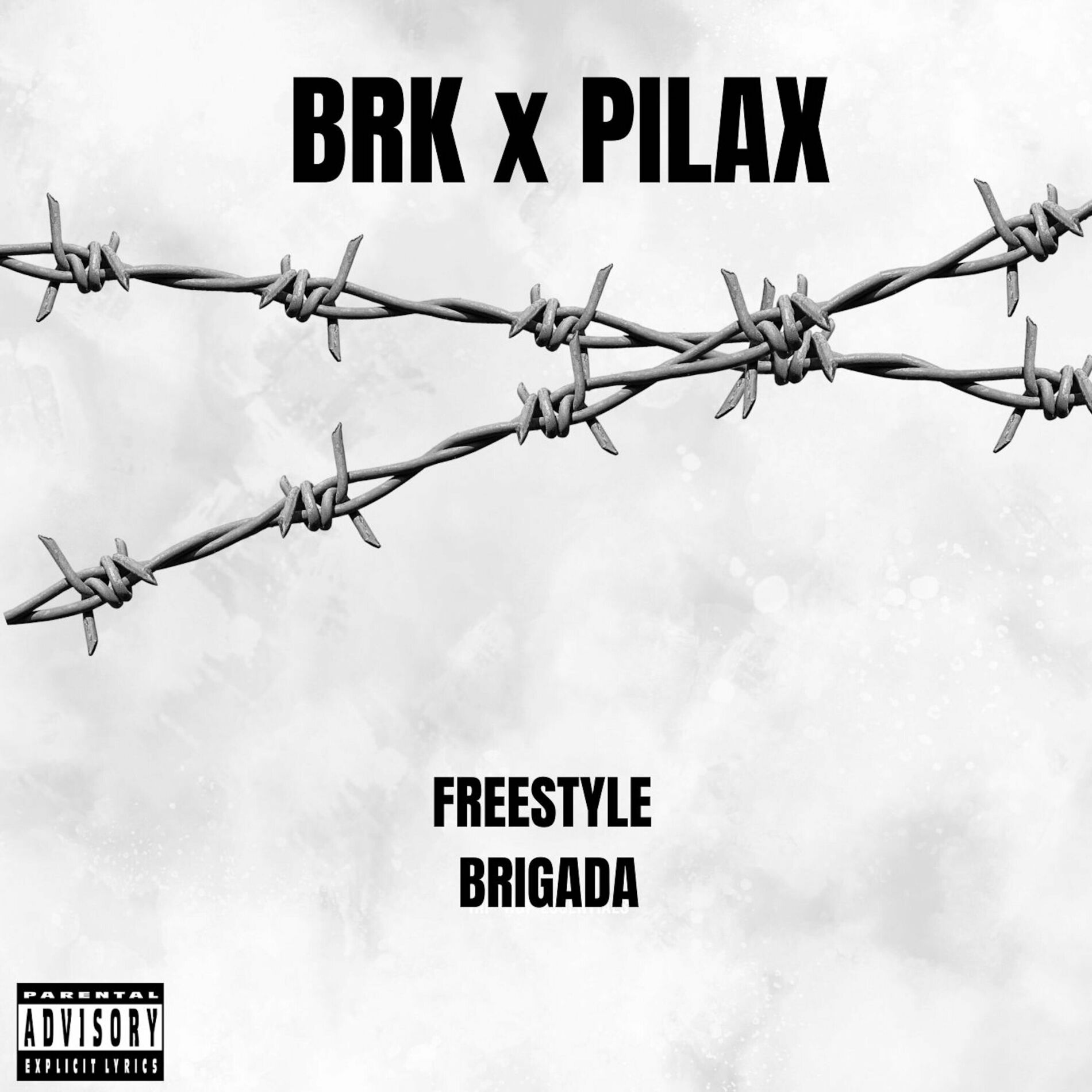 Album cover of Freestyle Brigada