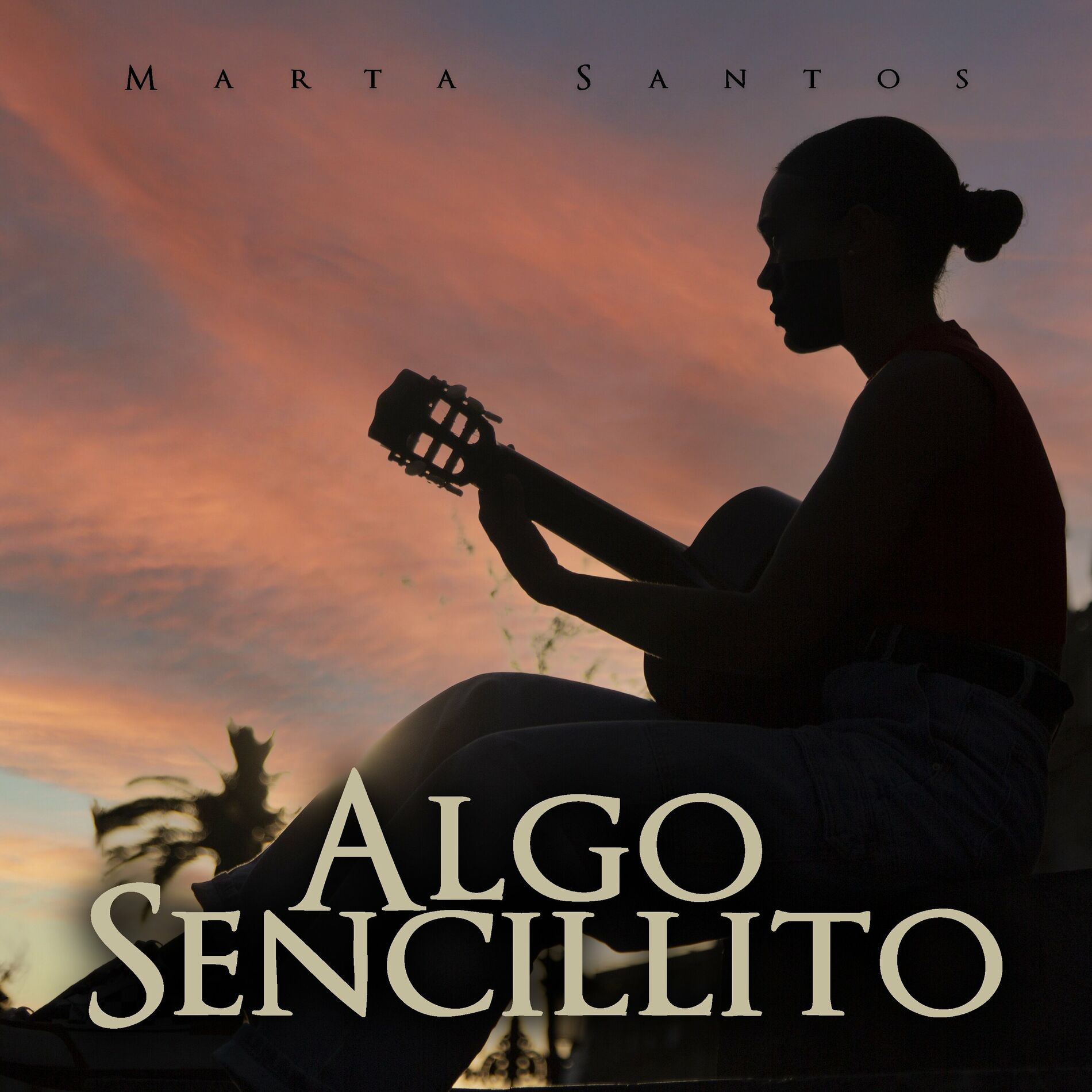 Album cover of Algo Sencillito