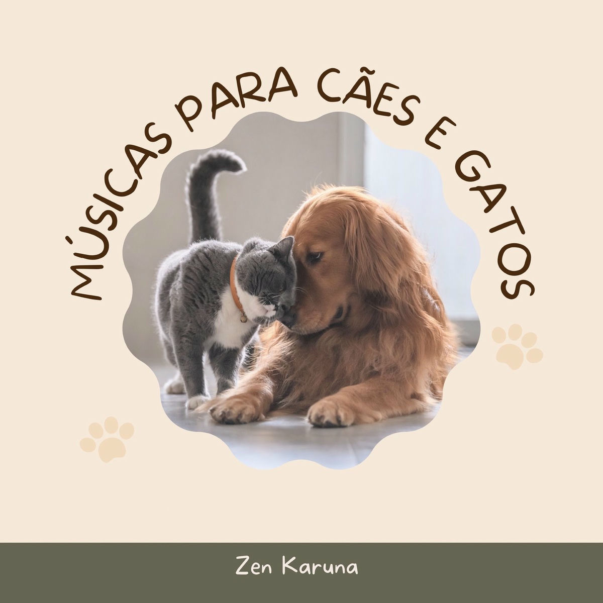 Album cover of Música para acalmar os cachorros