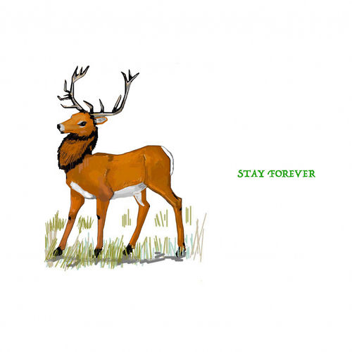 Stay Forever