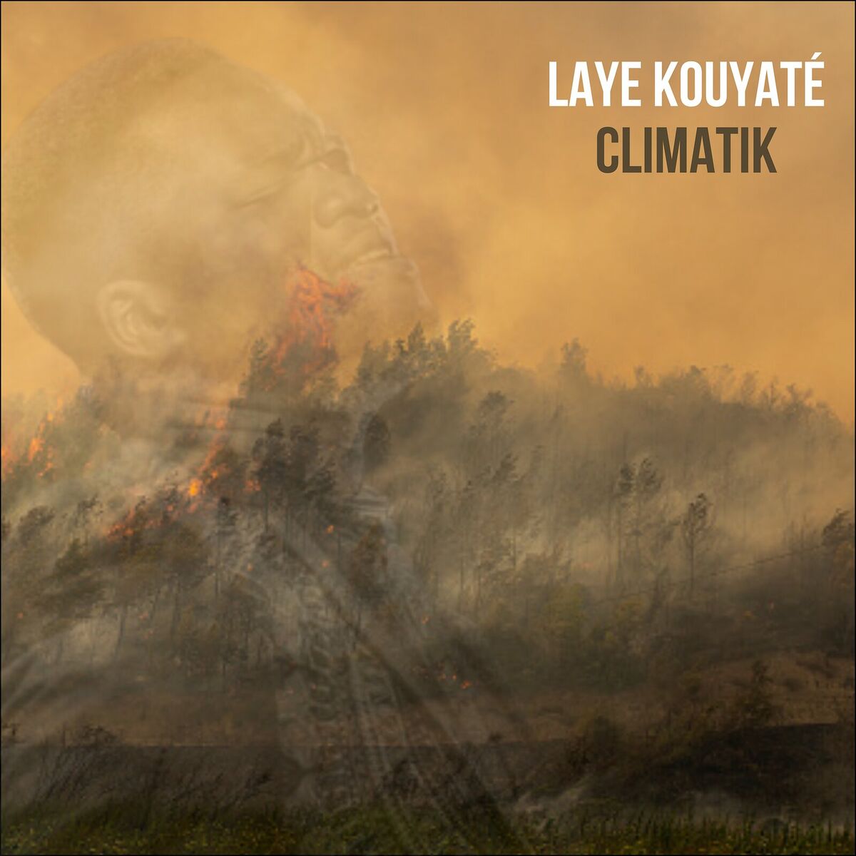 Album cover of Climatik
