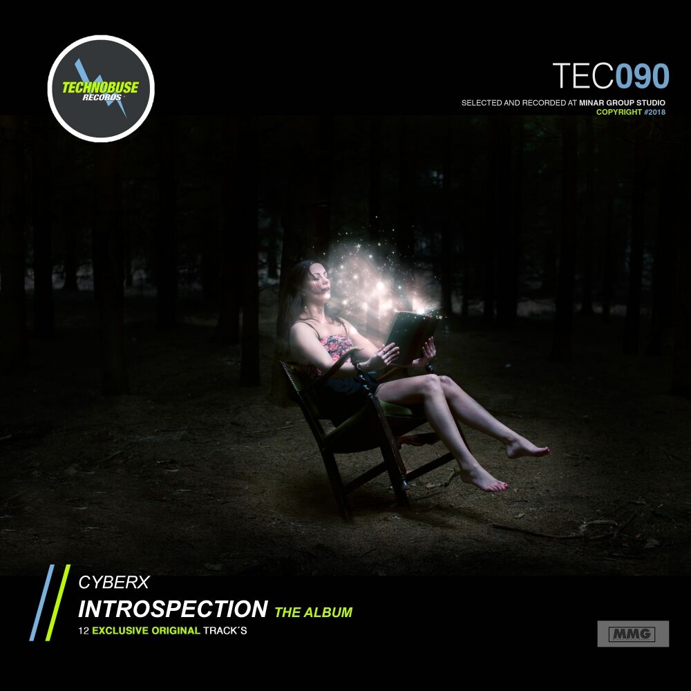Picture of Introspection (The Album)