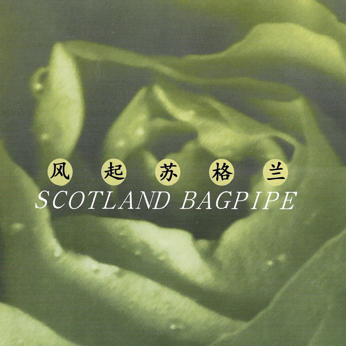 Album cover of 风起苏格兰