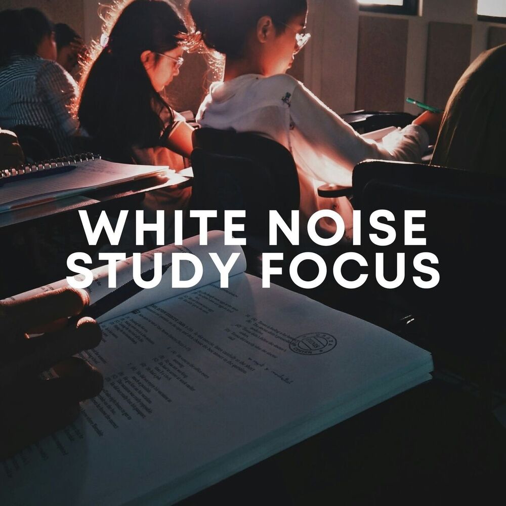 Picture of White Noise Study Focus