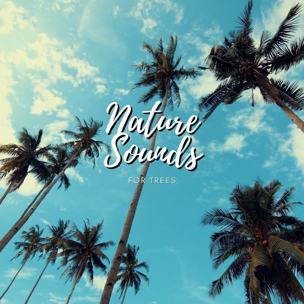 Picture of Nature Sounds For Sleep