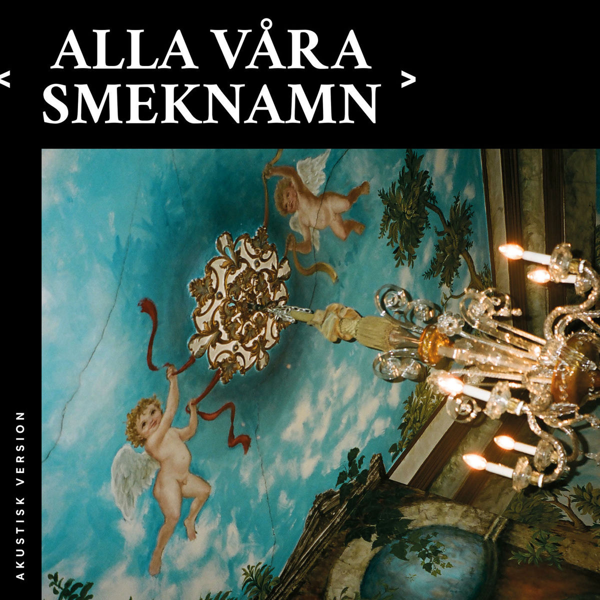 Album cover of Alla våra smeknamn