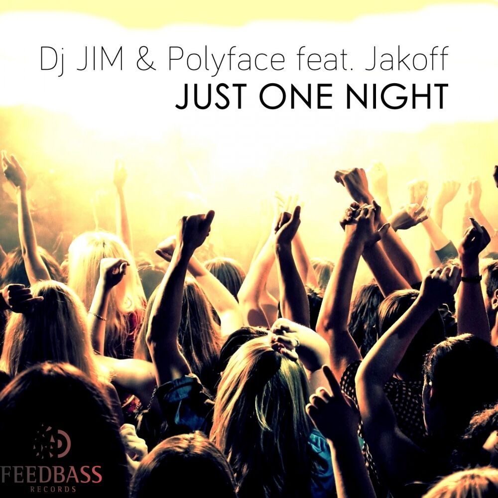 Picture of Just One Night