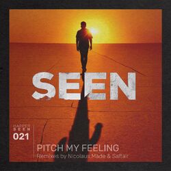 Cover of Pitch My Feeling