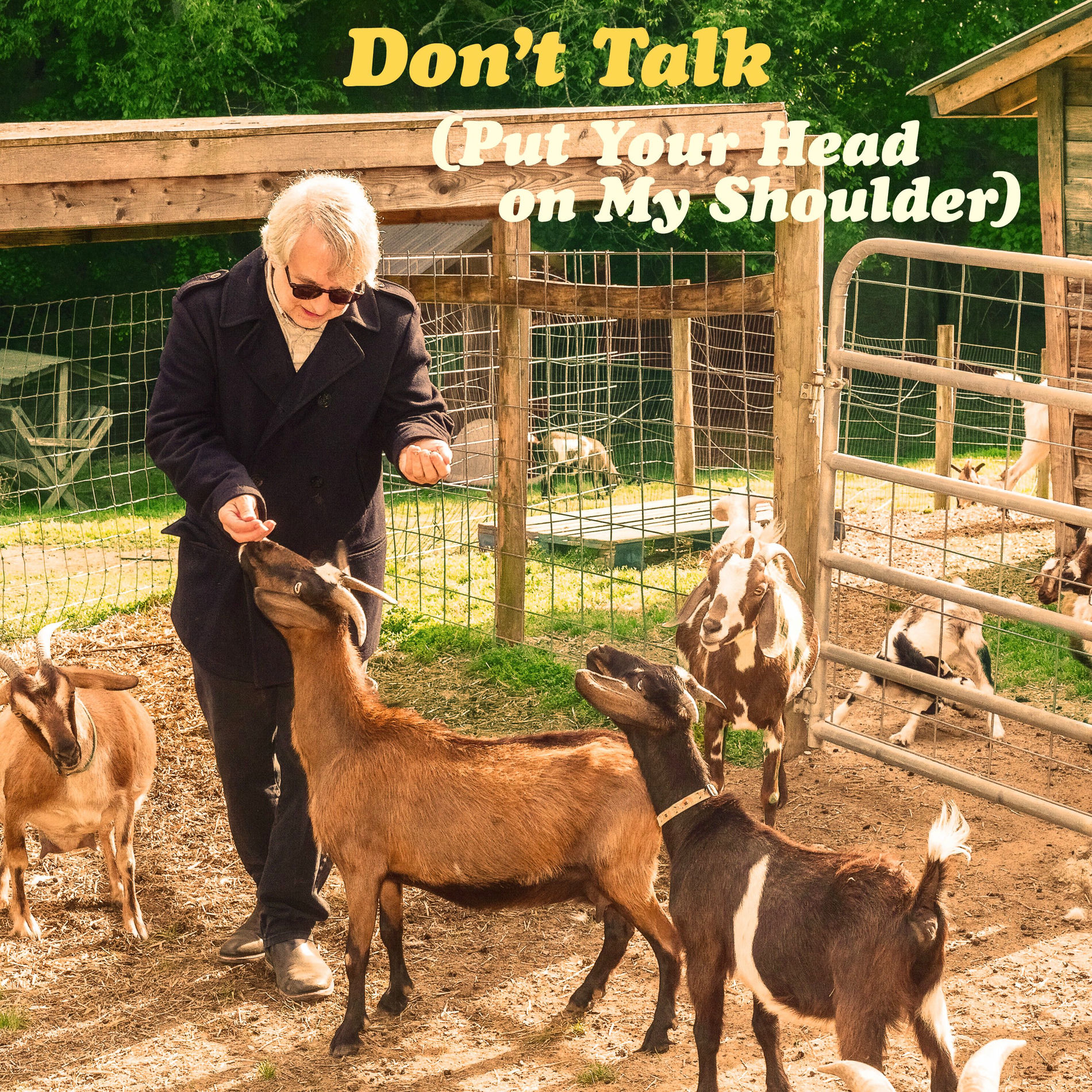 Album cover of Don't Talk (Put Your Head on My Shoulder)