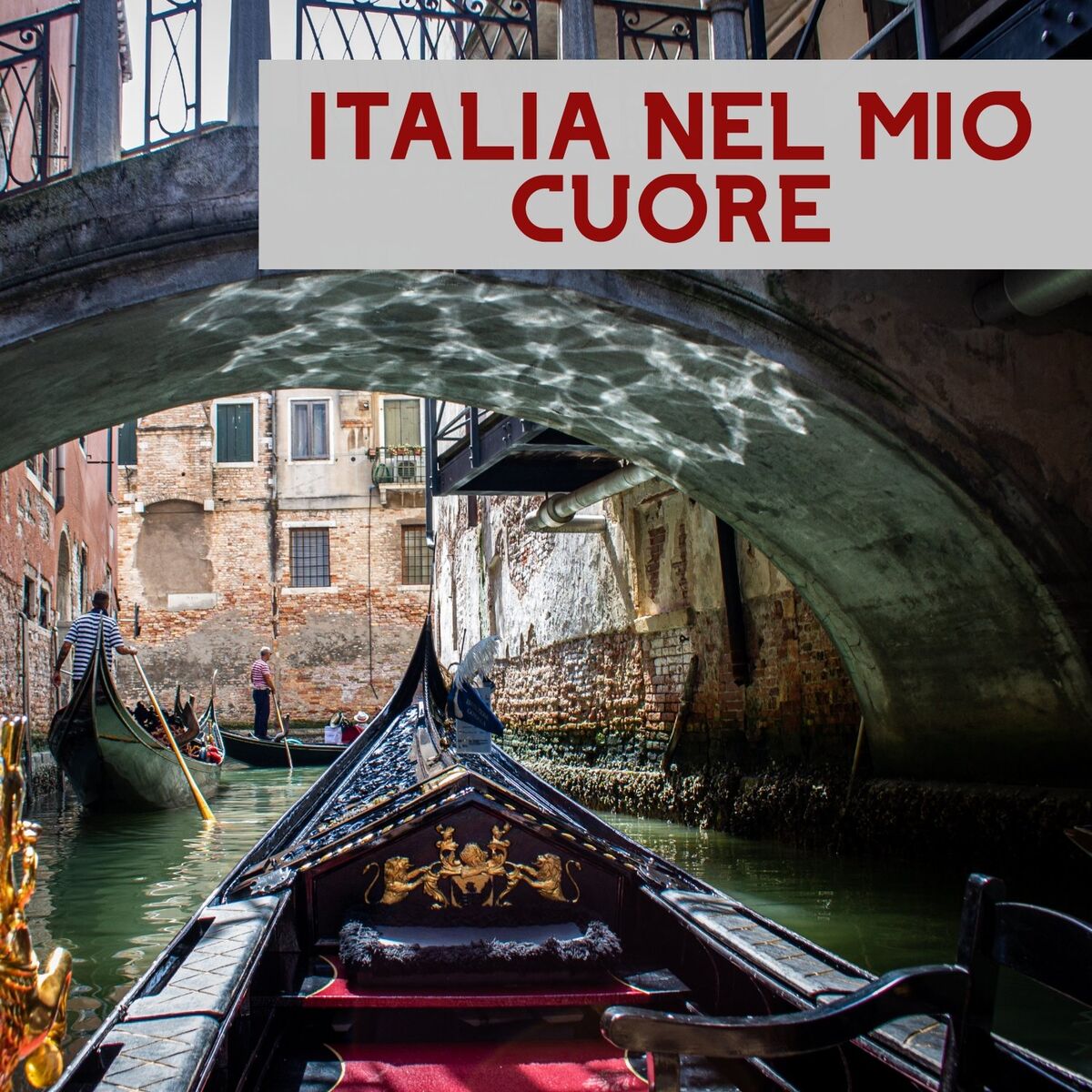 Album cover of Italia Nel Mio Cuore