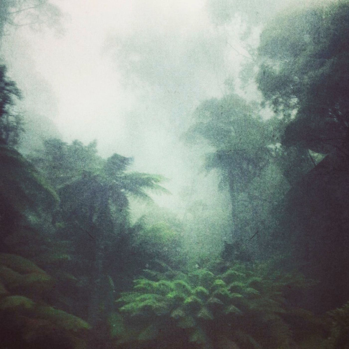 Album cover of The Naked