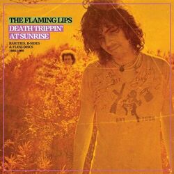 Seeing the Unseeable: The Complete Studio Recordings of the Flaming Lips 1986-1990