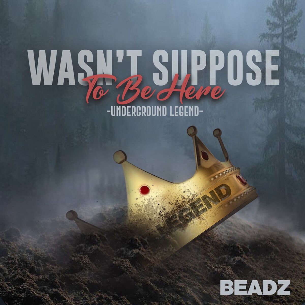 Album cover of Wasn't Suppose to Be Here