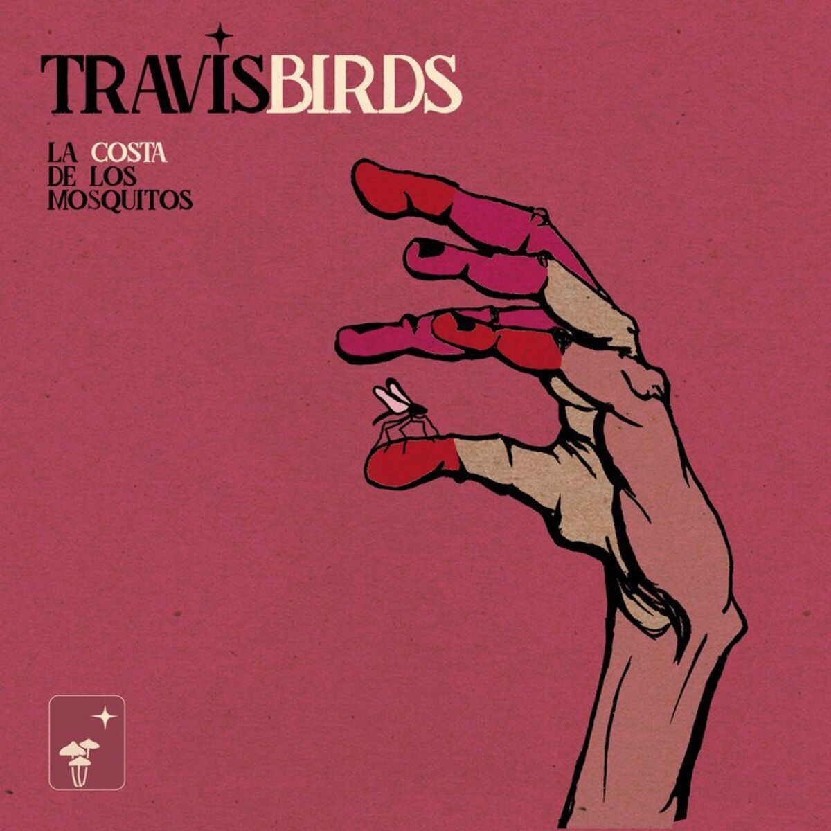 Album cover of Claroscuro