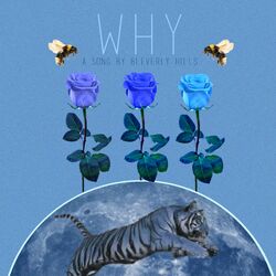 Cover of Why