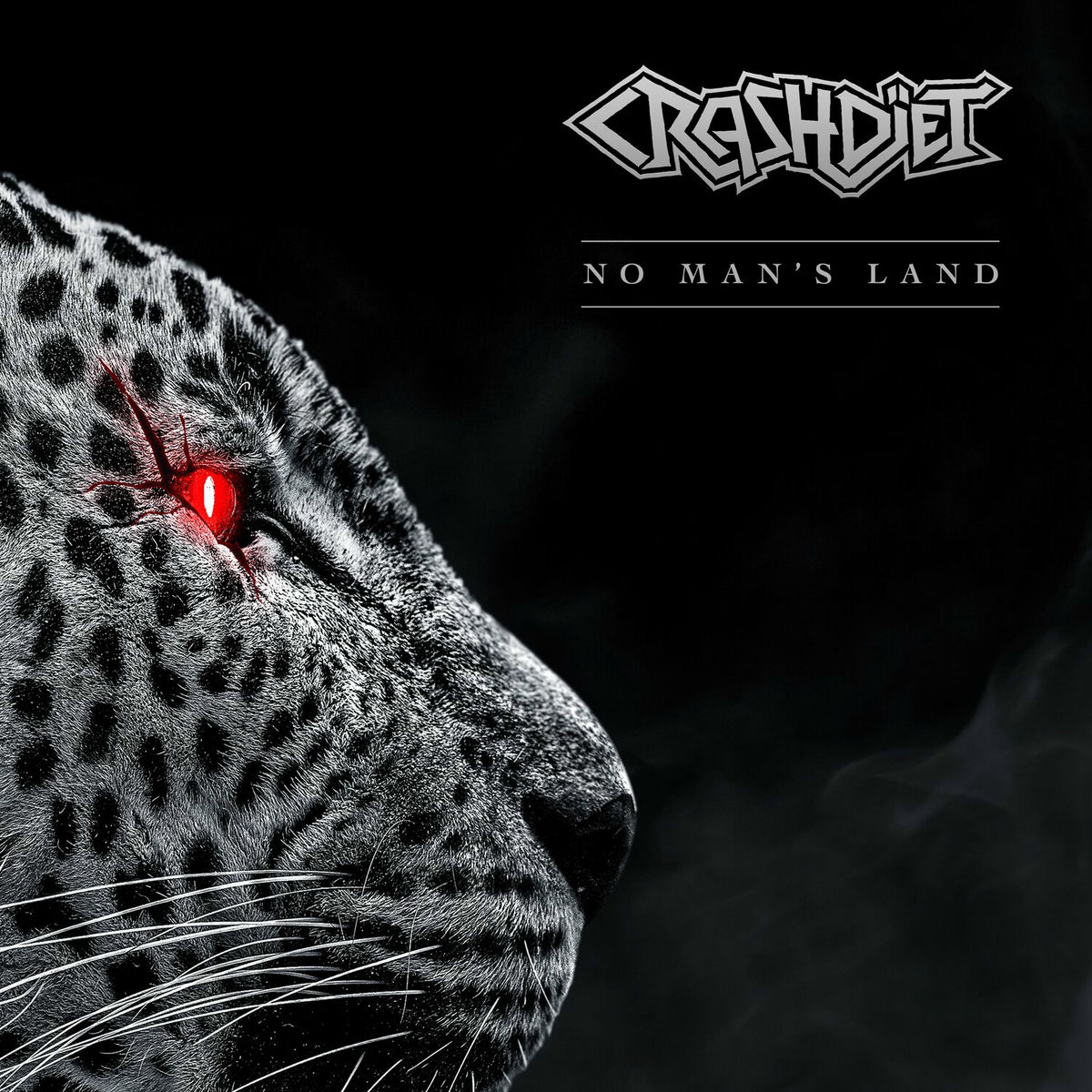 Album cover of No Man's Land