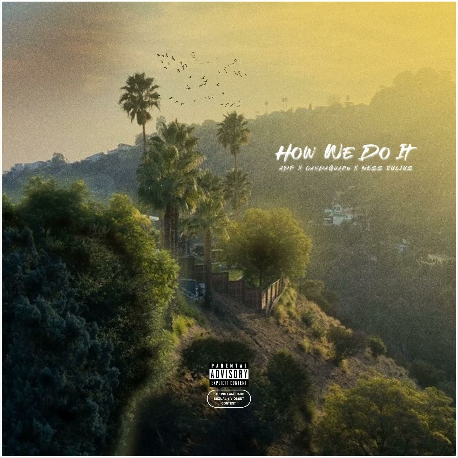 Album cover of How We Do It (feat. CamDaGuapo & Ness Julius)