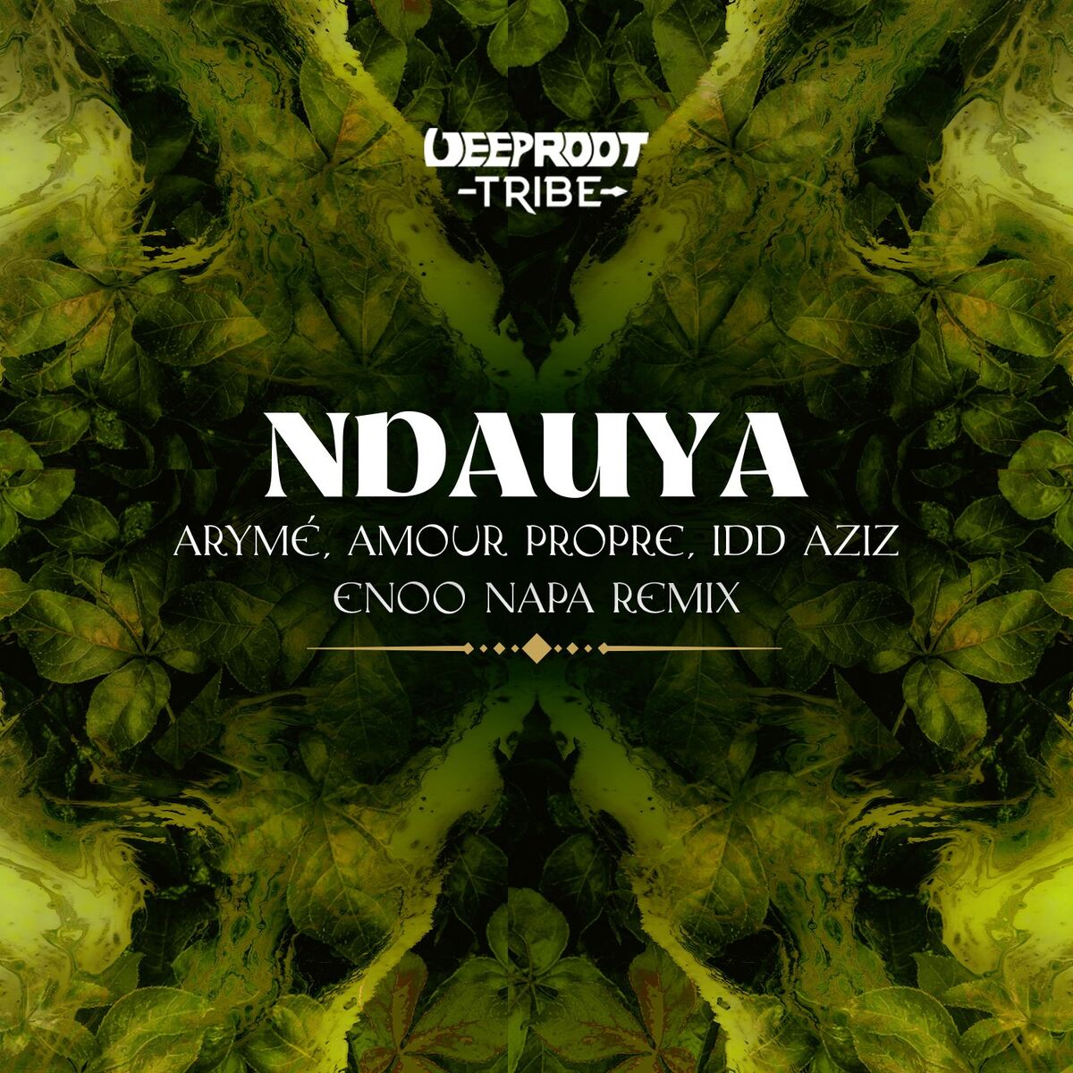 Album cover of Ndauya - Enoo Napa Remix