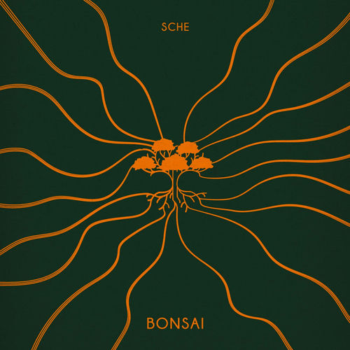 Bonsai