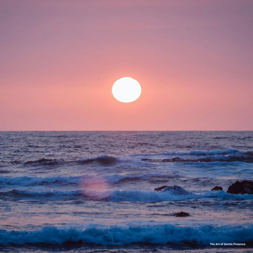 The Art of Gentle Presence