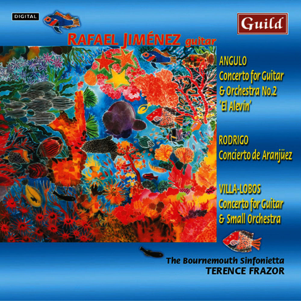 Concerto No. 2 'El Alevin': 1. Allegro Assai