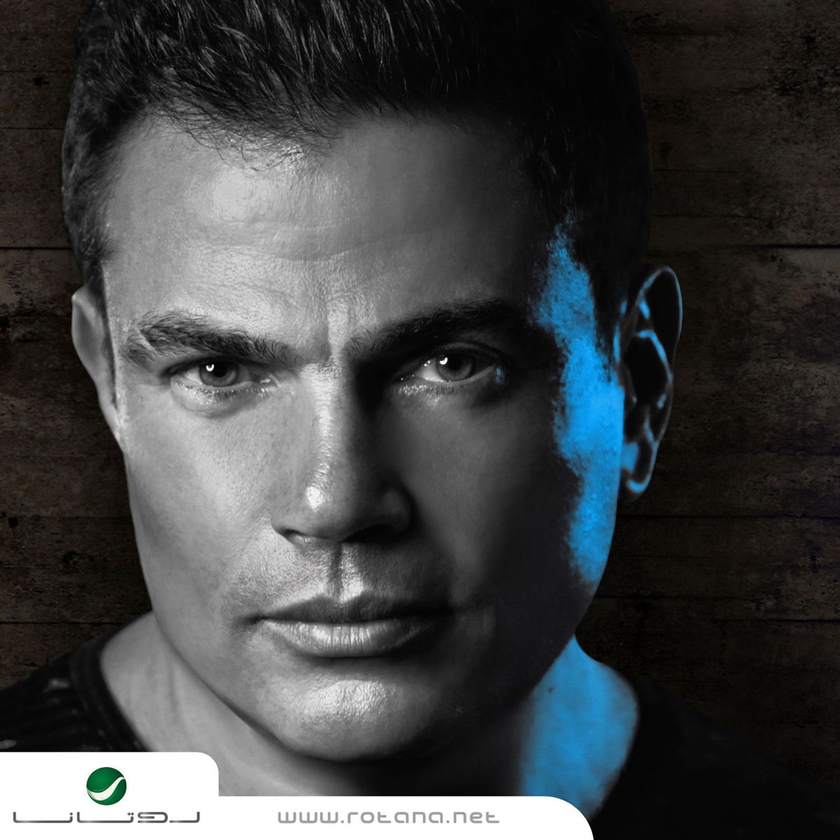 Album cover of Shoft El Ayam