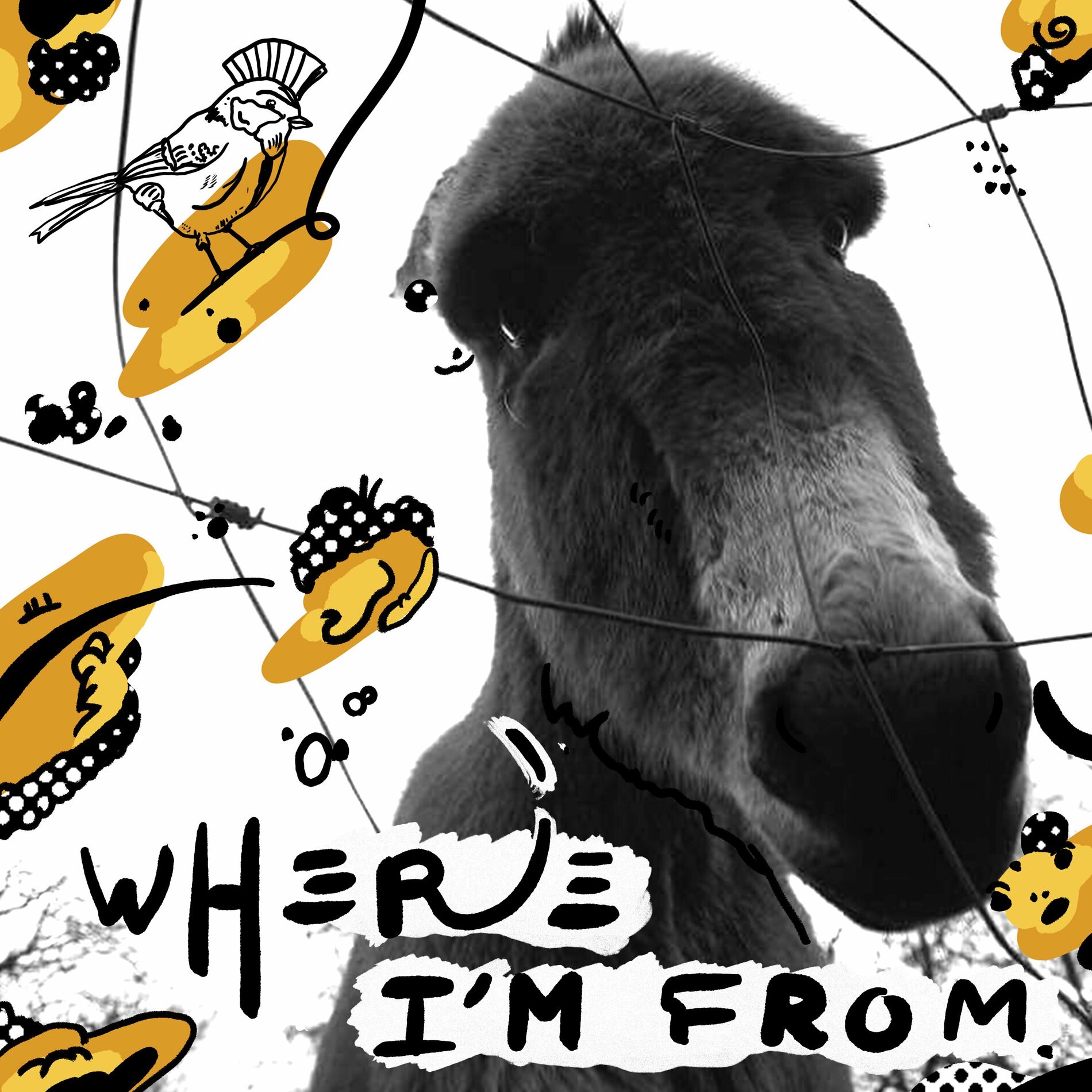 Album cover of Where I'm From (Single Edit)