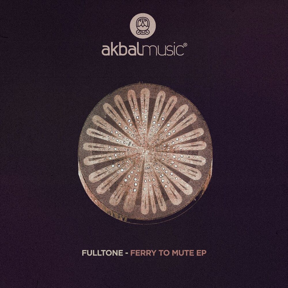 Picture of Ferry To Mute EP