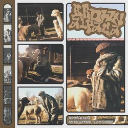 Cover of BROWN ALPACA
