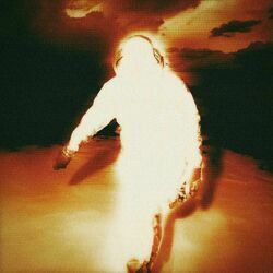 Cover of GOLDIE