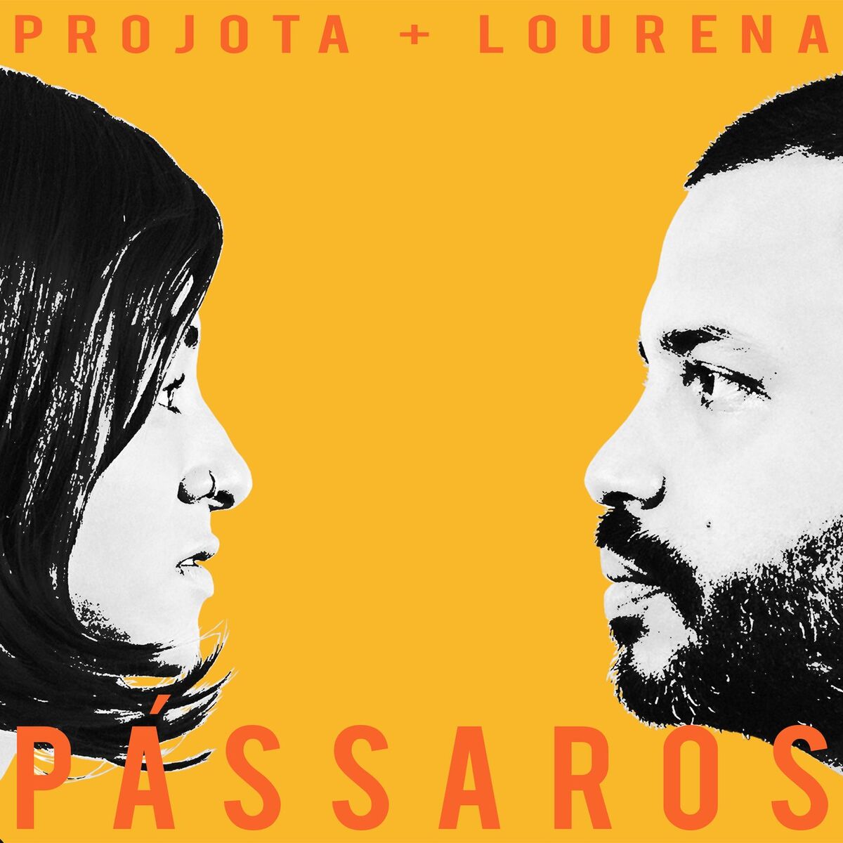 Album cover of Pássaros