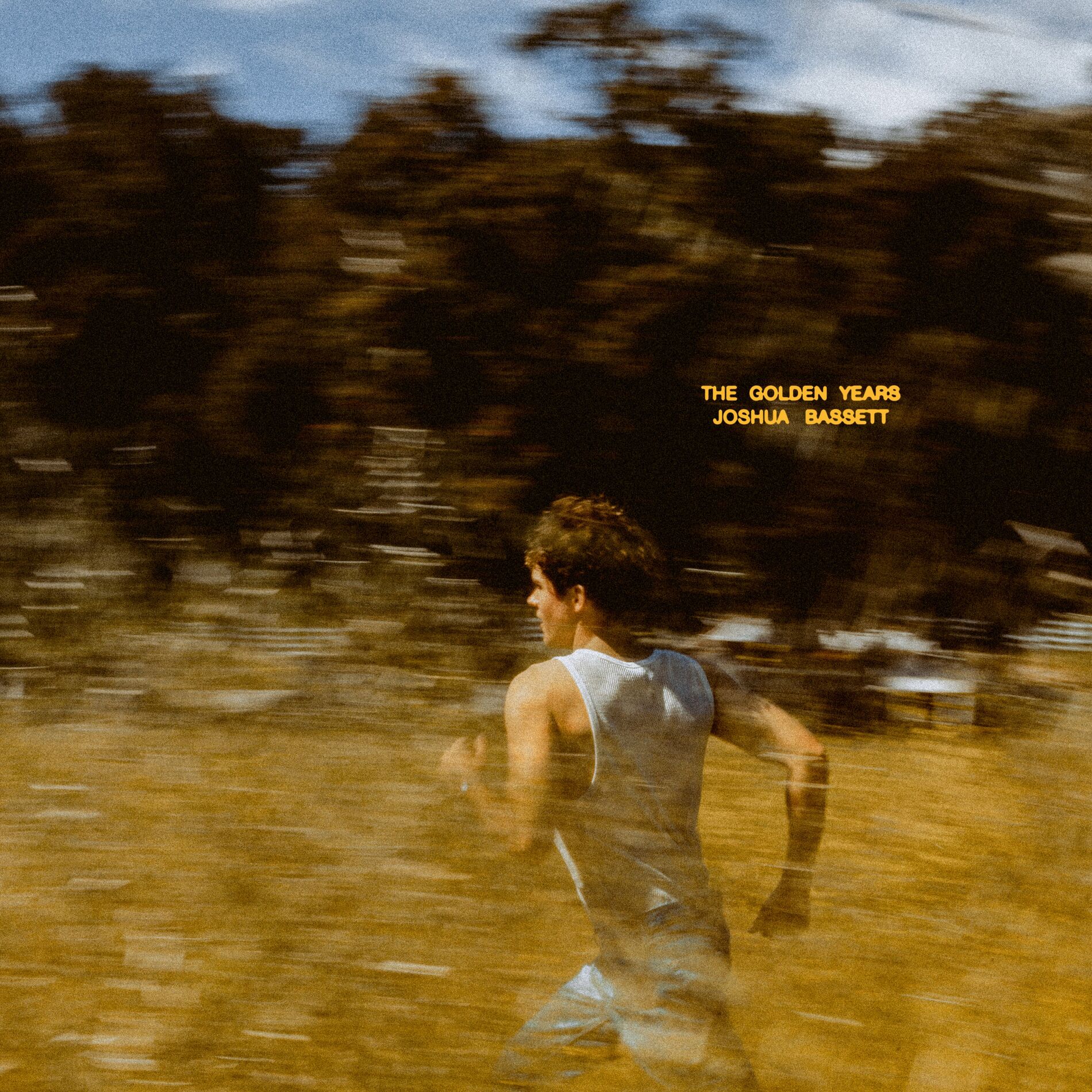 Album cover of The Golden Years