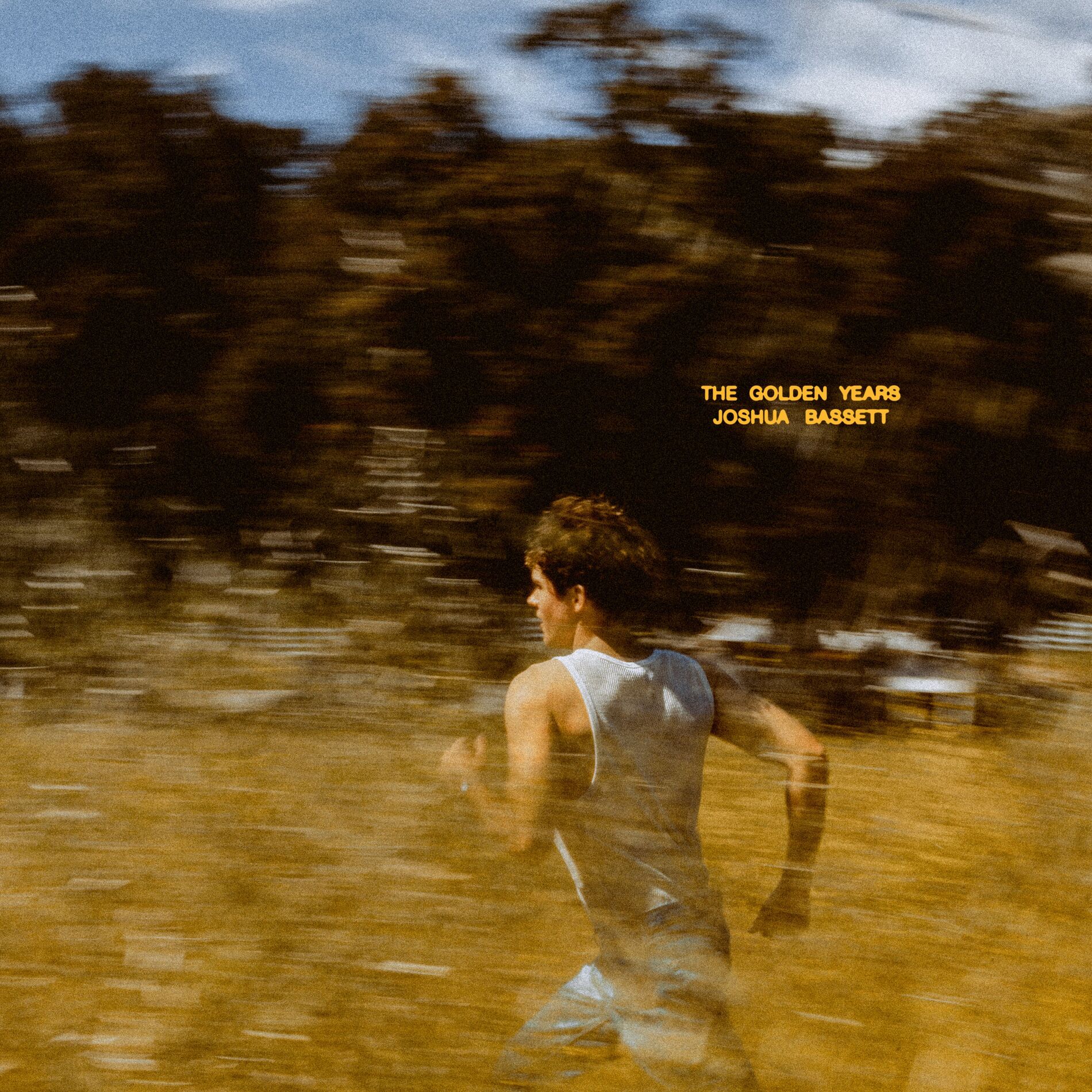 Album cover of The Golden Years