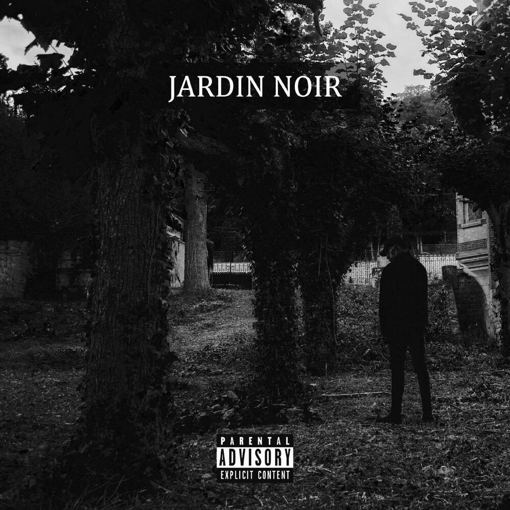 Picture of Jardin noir