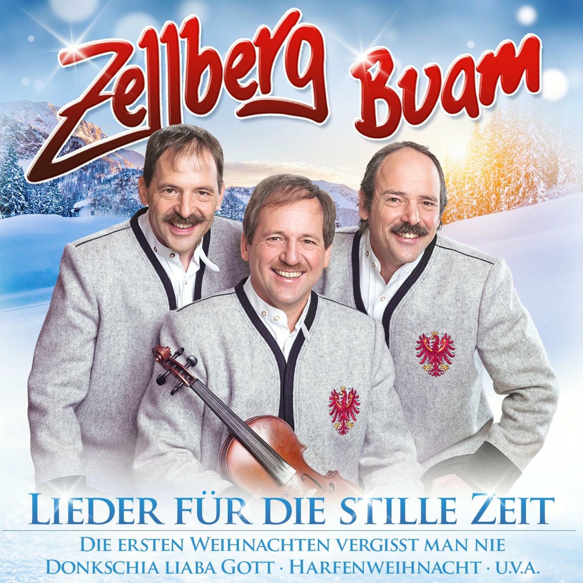 Album cover of Lieder für die stille Zeit