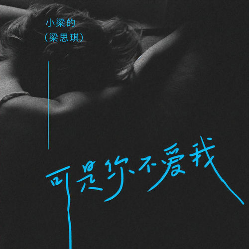 可是你不爱我(DJ阿卓版)