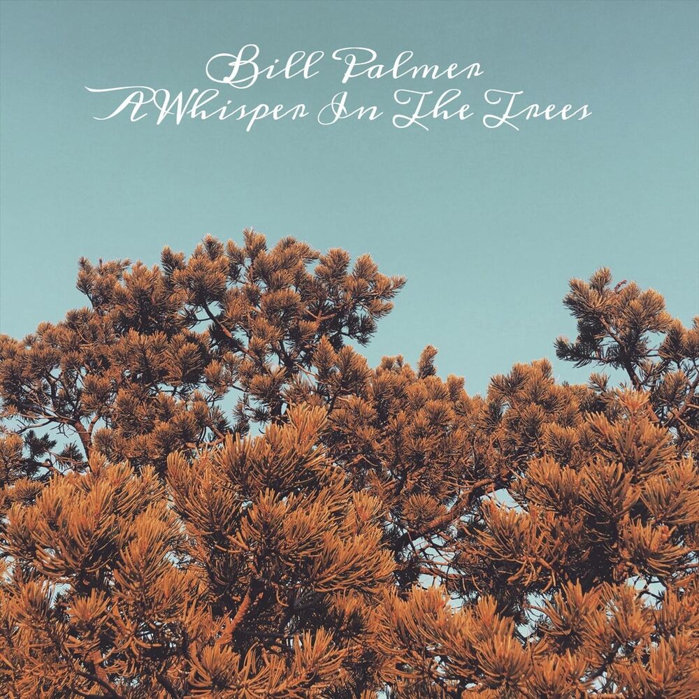 Picture of A Whisper in the Trees