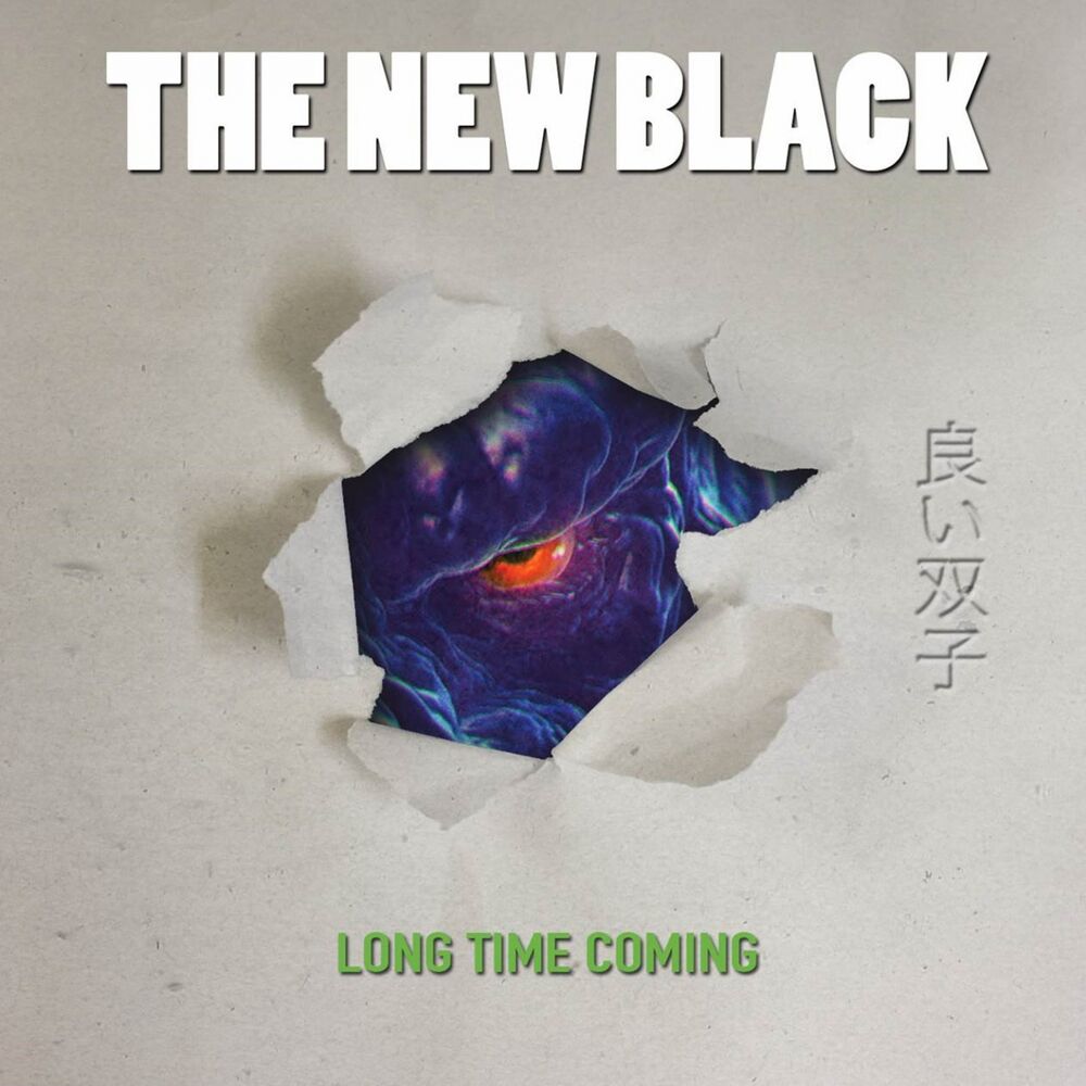Picture of Long Time Coming