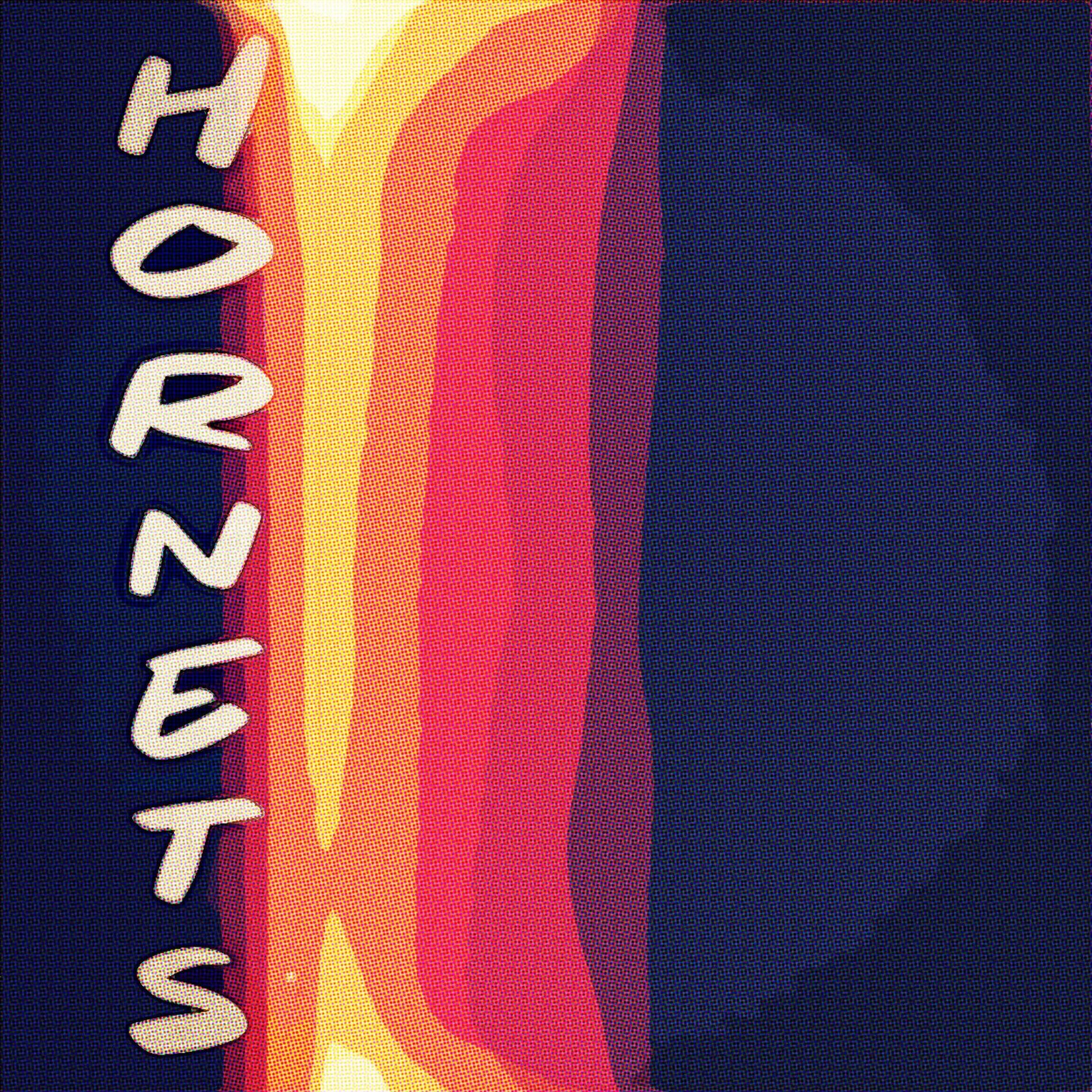 Album cover of Hornets