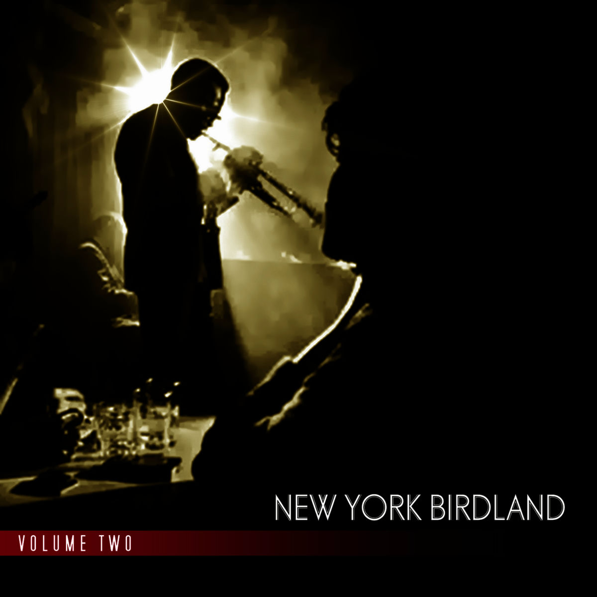 Album cover of New York Birdland Vol. 2