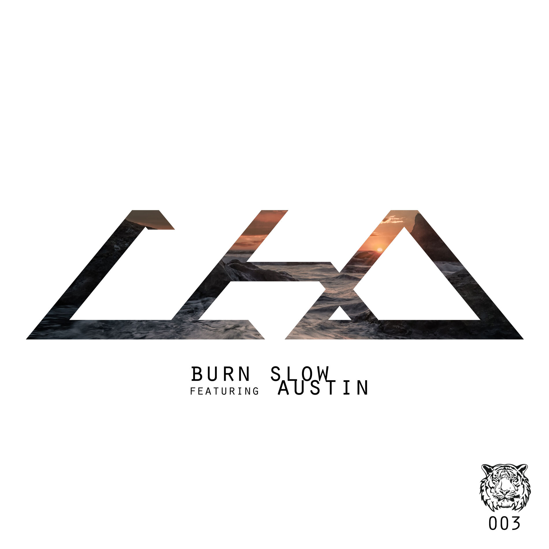 Album cover of BURN SLOW [AMAC REMIX]