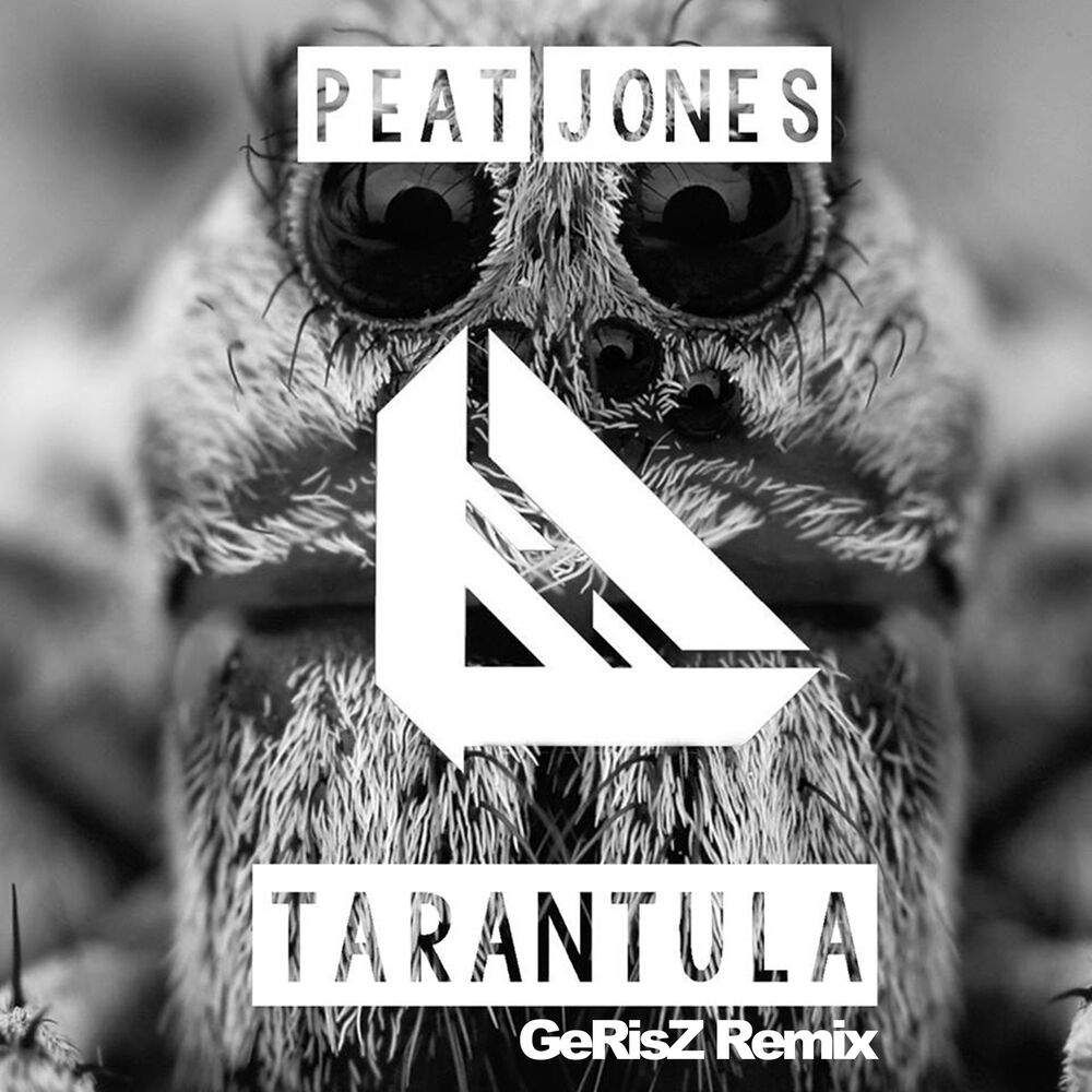 Picture of Tarantula (GeRisZ Remix) (GeRisZ Remix)