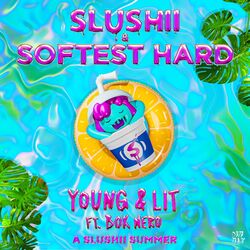 Cover of Young & Lit