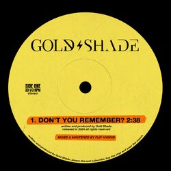 Cover of Don't You Remember?