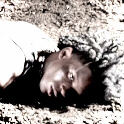 Cover of Placebo Effect