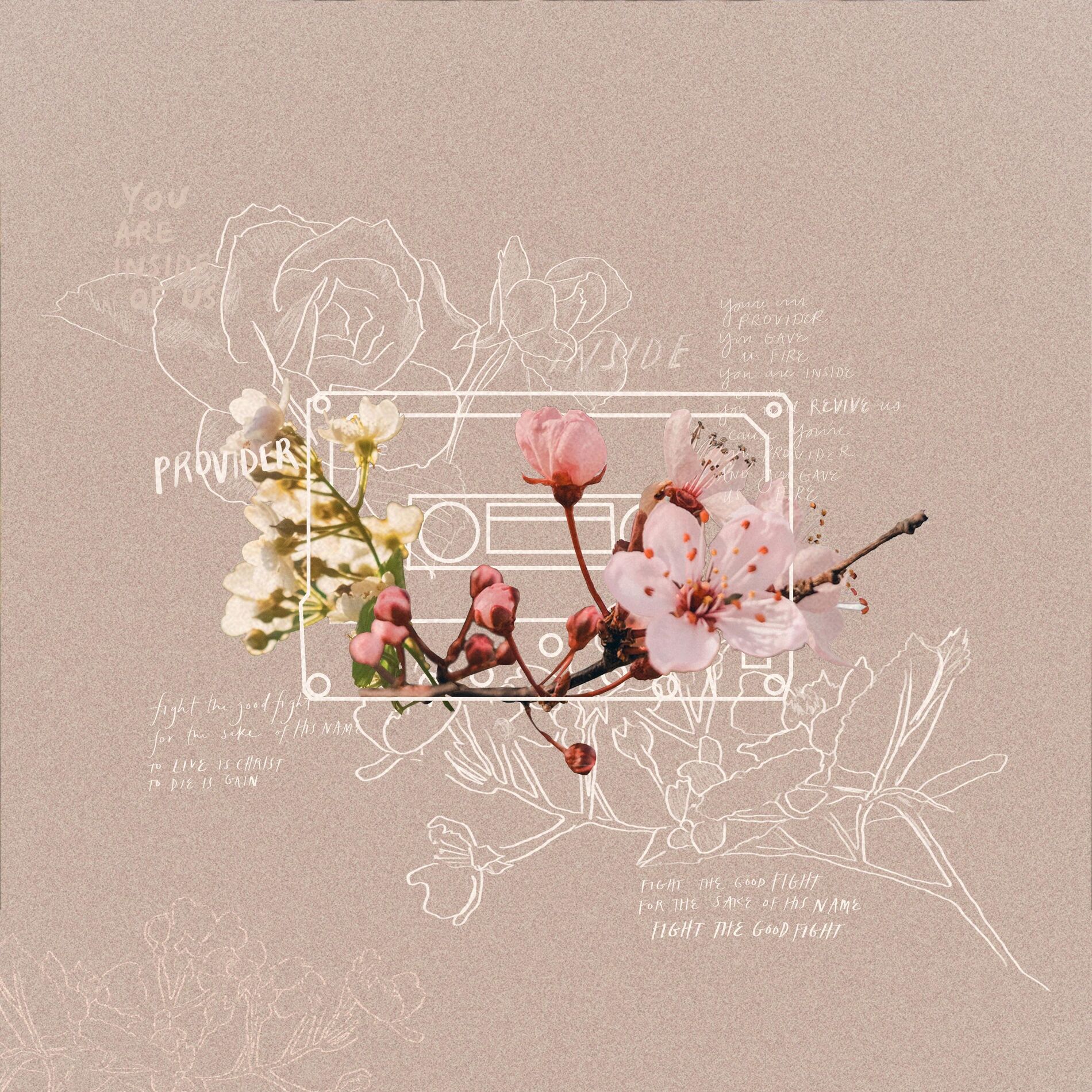 Album cover of Sprng Tape