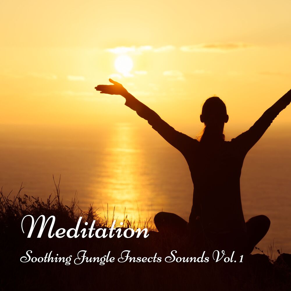 Picture of Meditation: Soothing Jungle Insects Sounds Vol. 1